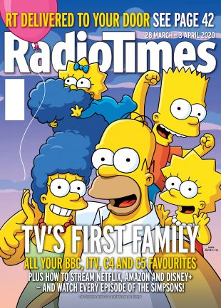 The Simpsons Cover