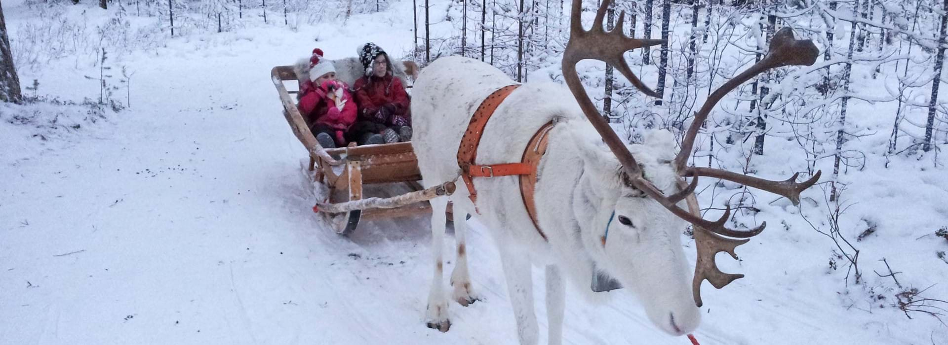 Lapland Santa Experience Day Trip Radio Times Travel